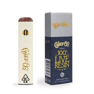 Big Chief disposable 1g